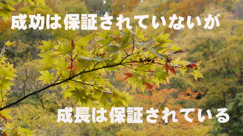 成功は保証されないが、成長は保証される