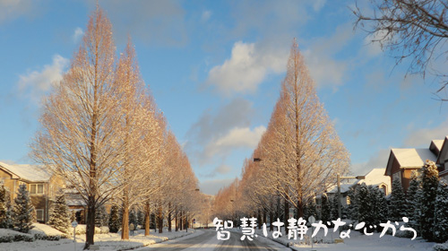 智慧は静かな心から